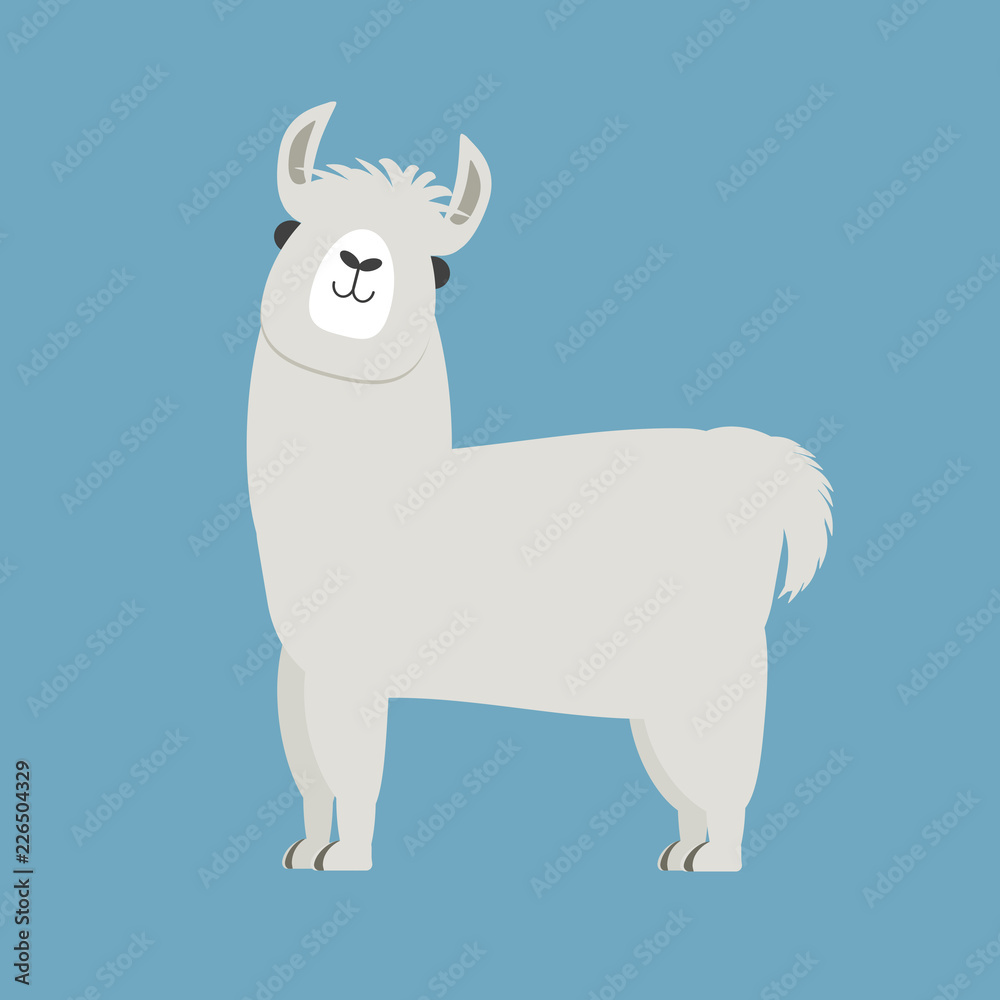 cute llama or alpaca on blue background vector illustration cute llama or alpaca on blue background vector illustration