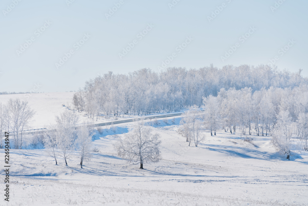 Winter landscape, white snow field with white forest in winter