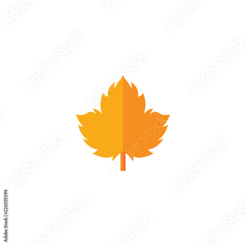 Yellow maple leaf . Isolated on white. Vector illustration. photo
