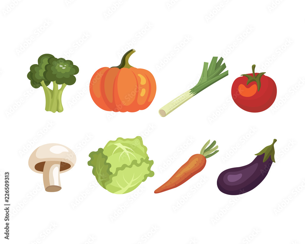 Organic vegetables: leeks, carrots, pumpkin, eggplant, tomatoes, mushrooms, broccoli, cabbage. Vector illustration. Organic vegetables: leeks, carrots, pumpkin, eggplant, tomatoes, mushrooms, broccoli, cabbage. Vector illustration.