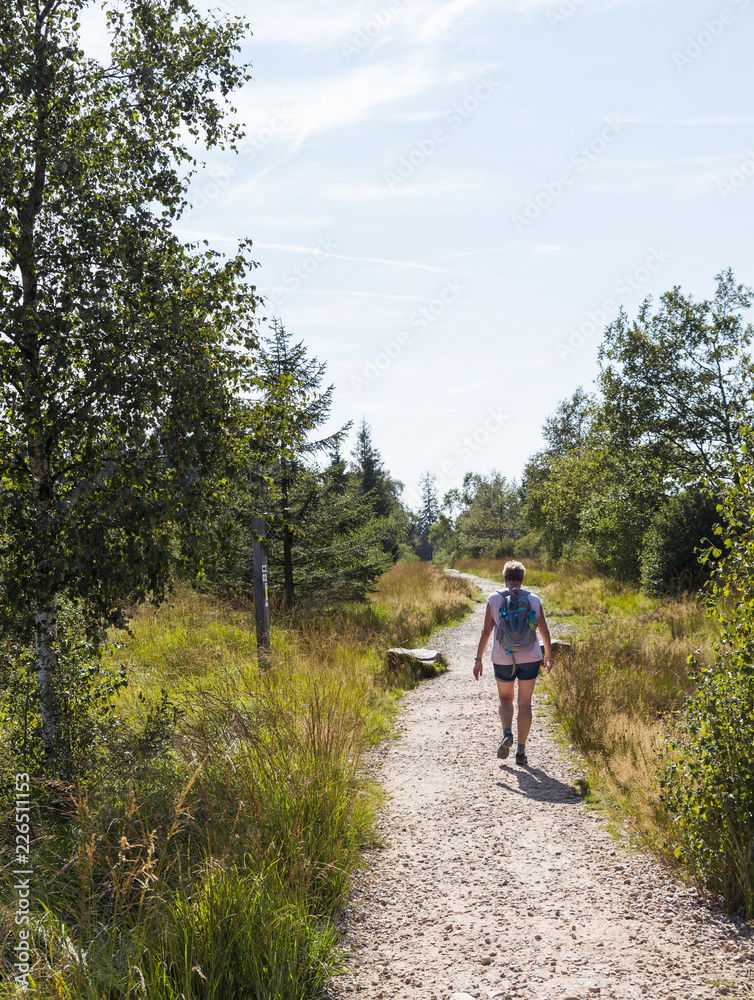 Obraz premium woman walking in the the belgium ardennes 