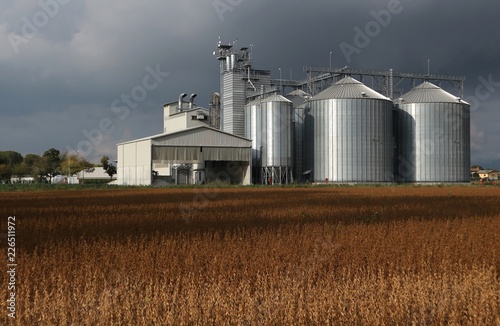 Grain storage  silos system, behind a brown soybean field and under a dark cloudy sky in an autumn day
