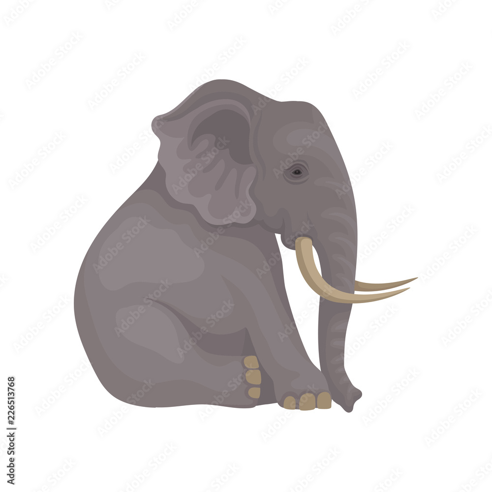 Big gray elephant sitting isolated on white background. Wild animal with  large ears, long trunk and tusks. Flat vector icon Stock Vector | Adobe  Stock