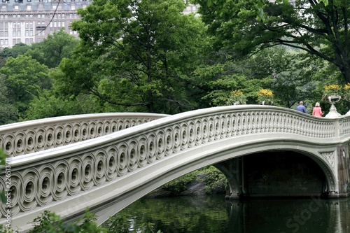 new york, Bow bridge, water, landscape, lake, nature, old, park, trees, nyc, ny, Central Park, Manhattan,