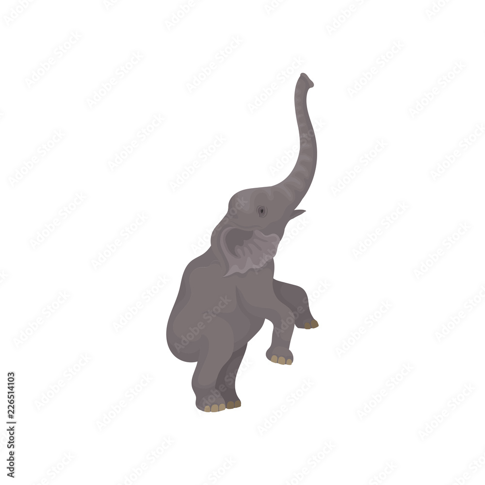 Big gray elephant standing on hind legs. Wild African animal with long trunk  and large ears. Flat vector design Stock Vector | Adobe Stock