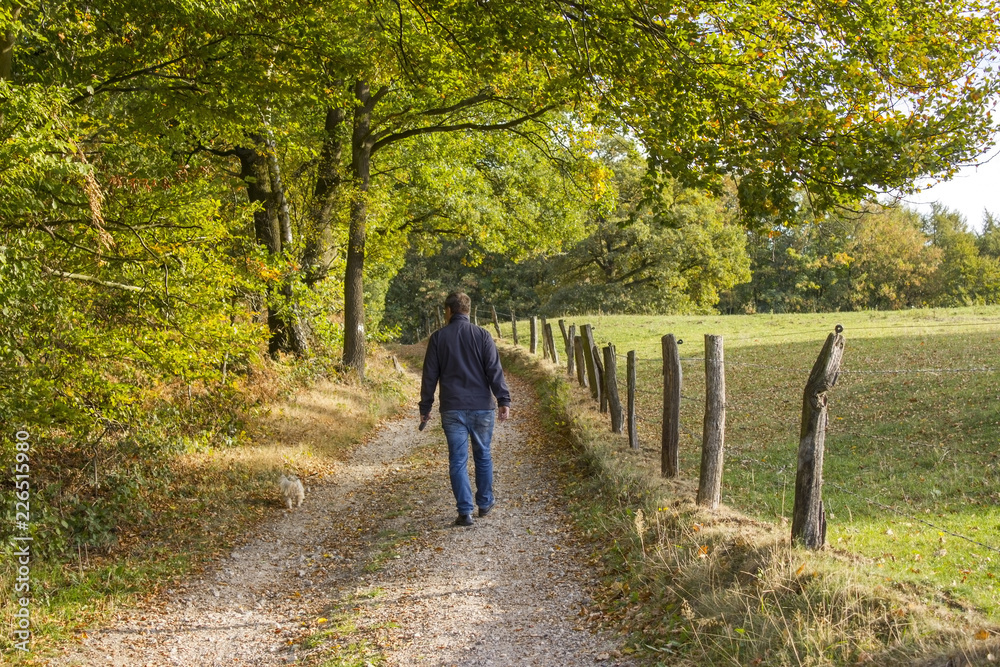 Obraz premium man walking with a dog in the forest