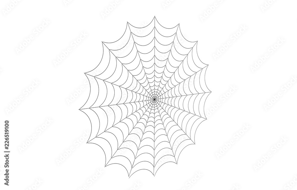 Rundes Spinnennetz