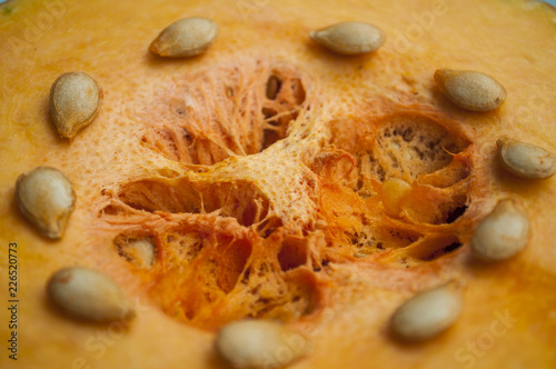 pumpkin on a blue background