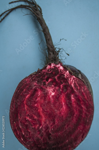 Beet on a blue background