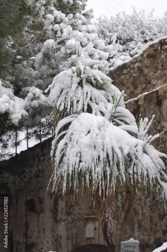 St  Paul de Vence sous la neige photo