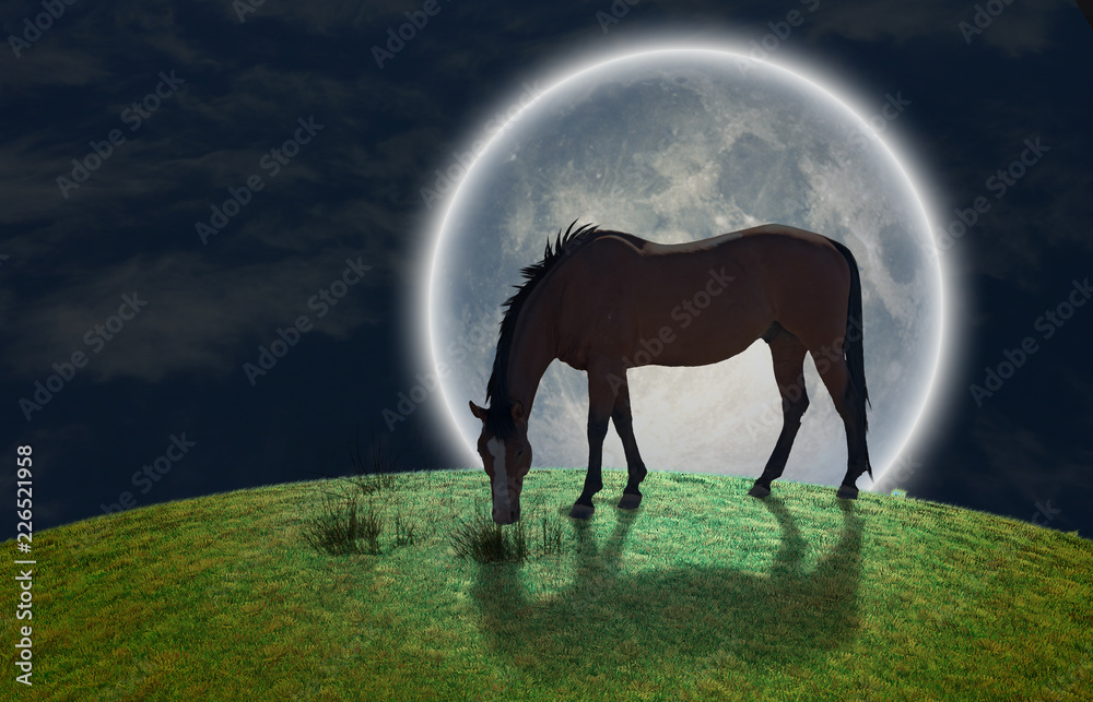 Obraz Koń i księżyc w pełni