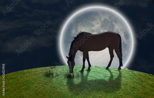 Fototapeta Koń i księżyc w pełni