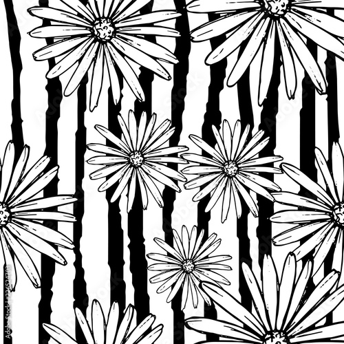 Pattern of daisies manually drawn ink. White and black illustration. Floral surface design.