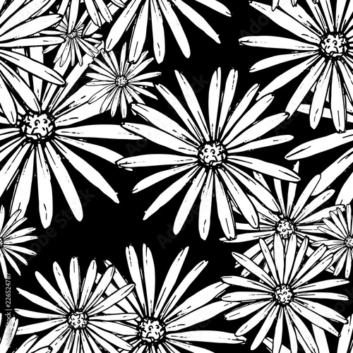 Pattern of daisies manually drawn ink. White and black illustration. Floral surface design.