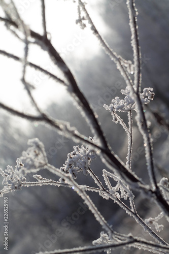 Warm winter © Юлия Зезюлина