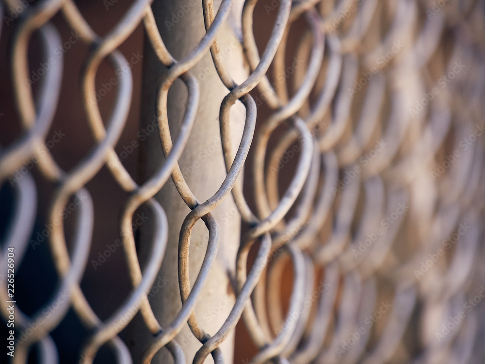 Fototapeta premium Fence