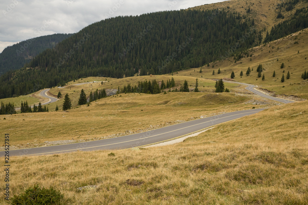 Transalpina