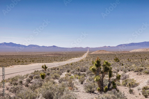 Highway 375 and Joshua Trees Nevada