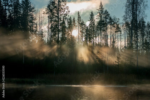 Morning sunlight rays on the forest lake