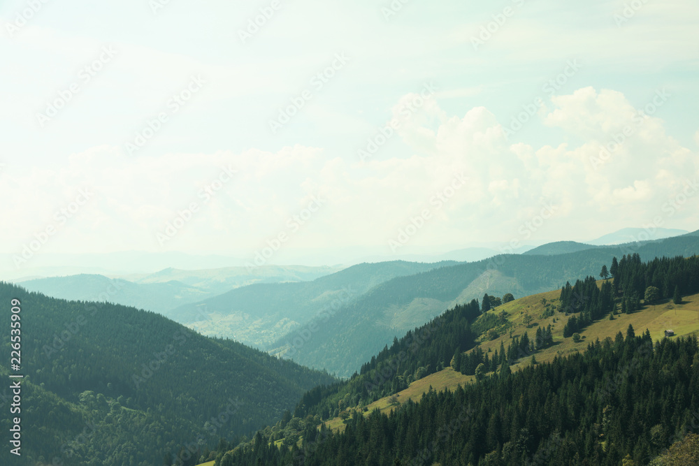 Obraz premium Beautiful landscape with forest and mountain slopes