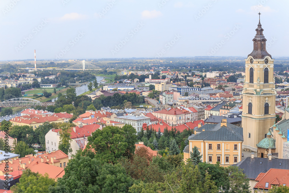 Przemysl, polish Podkarpacie. City Panorama from castle tower. - obrazy, fototapety, plakaty 