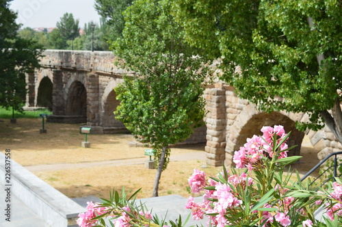 Fototapeta Naklejka Na Ścianę i Meble -  Pont romain de Salamanque