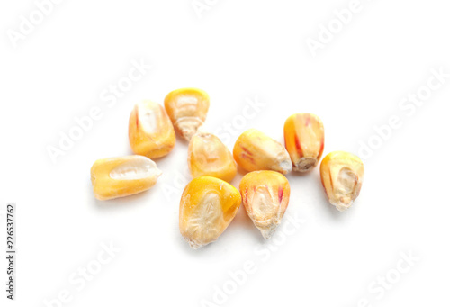 Dried sweet corn kernels on white background