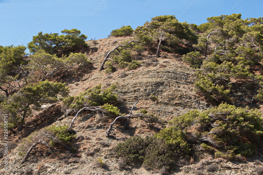 Landscape at the trail from Olympos to Diafani on Karpathos in Greece