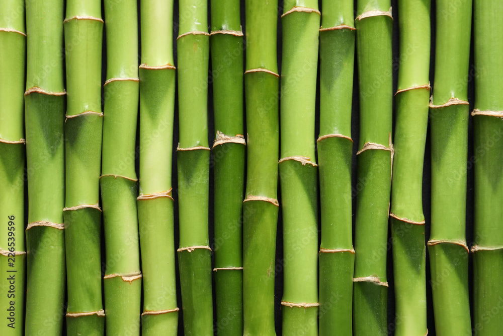 Fototapeta premium Zielony bambus wywodzi się jako tło, widok z góry