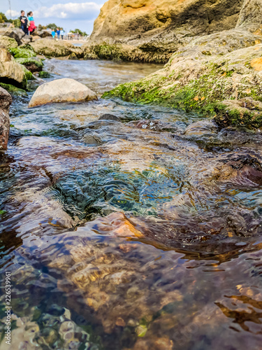 Fototapeta Naklejka Na Ścianę i Meble -  Small creek in the sea during the autumn season