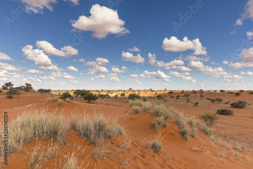 Beautiful landscape with white clouds of the Kalahari desert  Namibia.