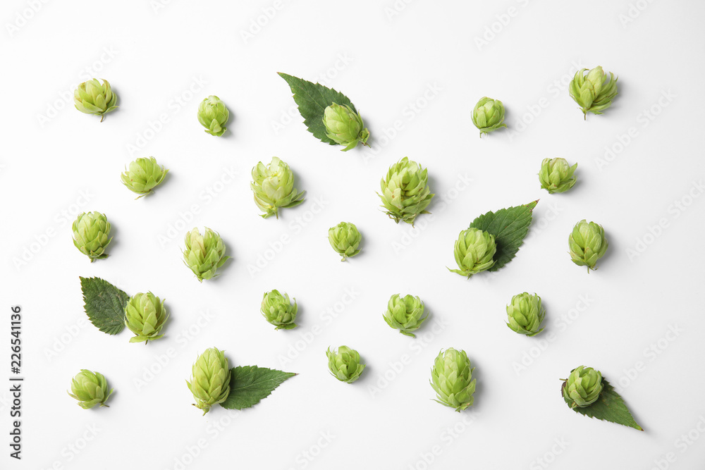 Fresh green hops on white background, top view. Beer production Fresh green hops on white background, top view. Beer production