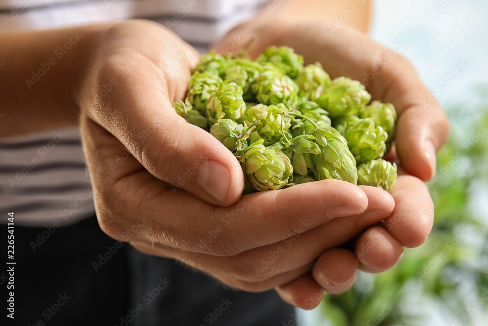 Woman holding fresh green hops, closeup. Beer production