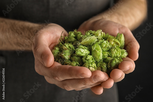 Man holding fresh green hops, closeup. Beer production