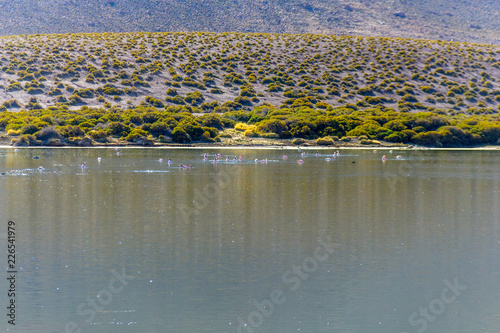 Algún lugar en el desierto de San Pedro de Atacama en el norte de Chile