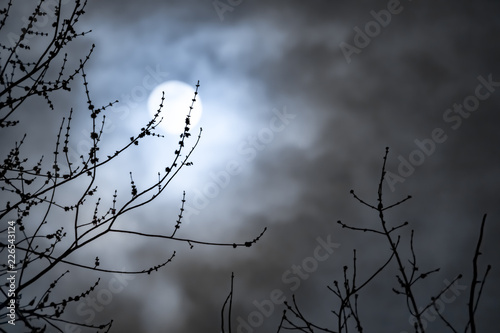Canvastavla Full moon with white clouds with bare tree branches