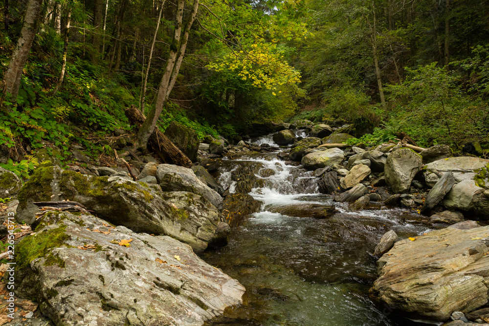 Stream and boulders