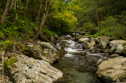 Stream and boulders