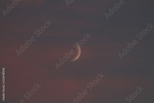 Mond