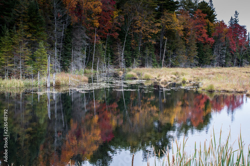 autumn color reflections