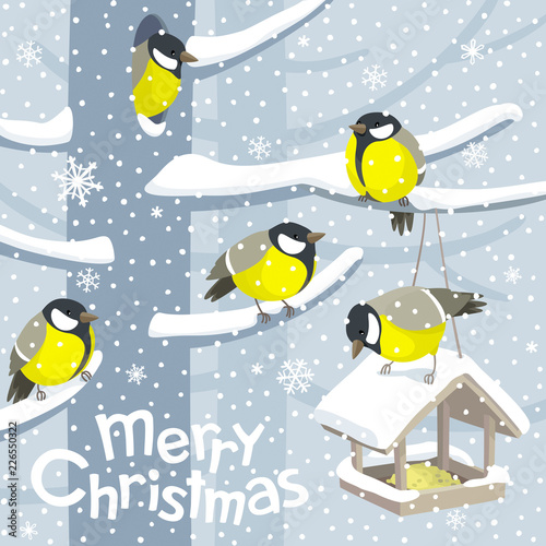 Vector Christmas birds and birdfeeder Christmas image