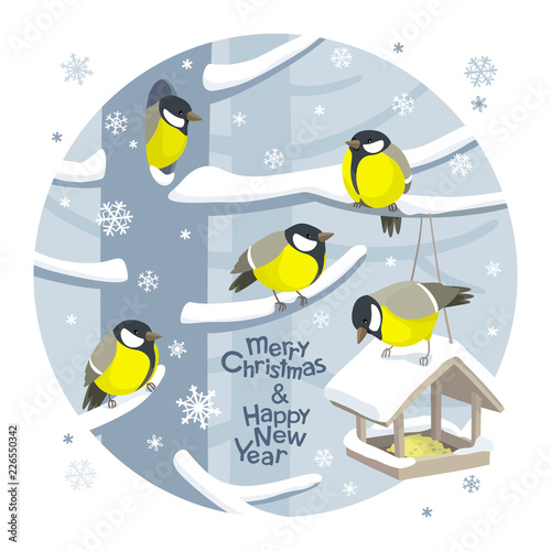 Vector Christmas birds and birdfeeder Christmas image