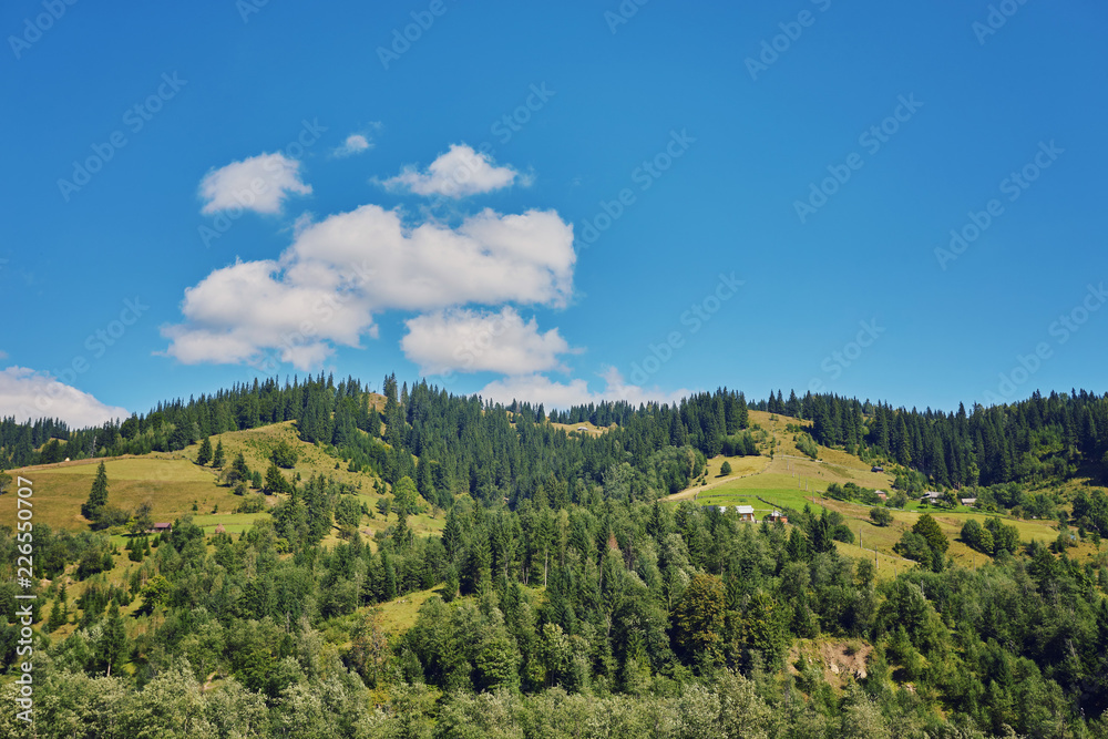 mountainous landscape with forested hills. beautiful summer