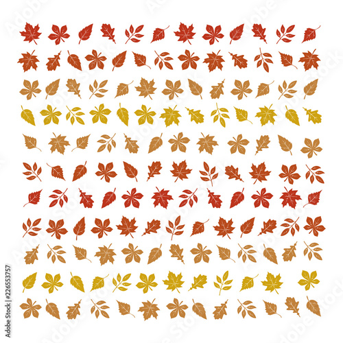 Vector autumn leaves background © ID designer