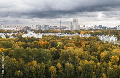 Moscow skyline, panoramic view. Autumn, colorful fall trees in the foreground. © Telly