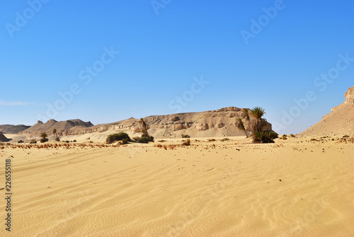 Landscape of the Western desert Sahara, Egypt