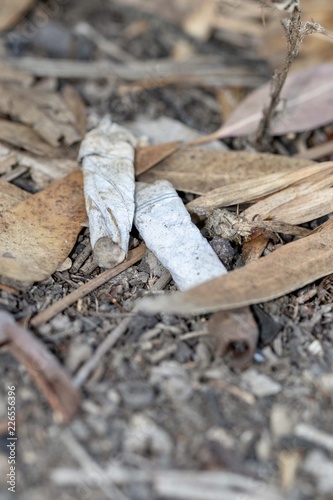 cigarette butts close up discarded in the forest
