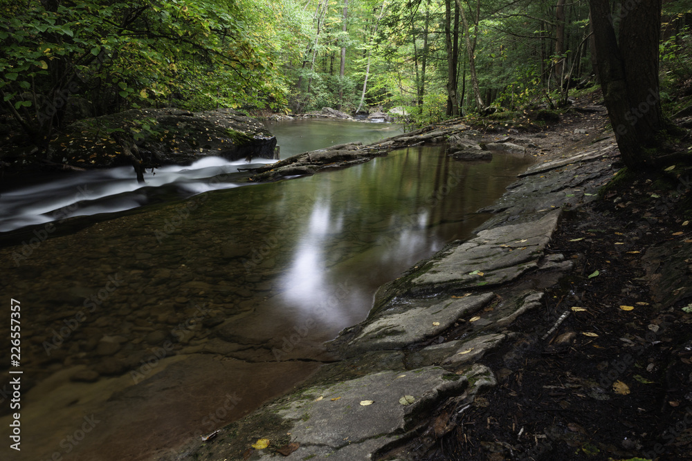daylight reflacting off water in forest stream