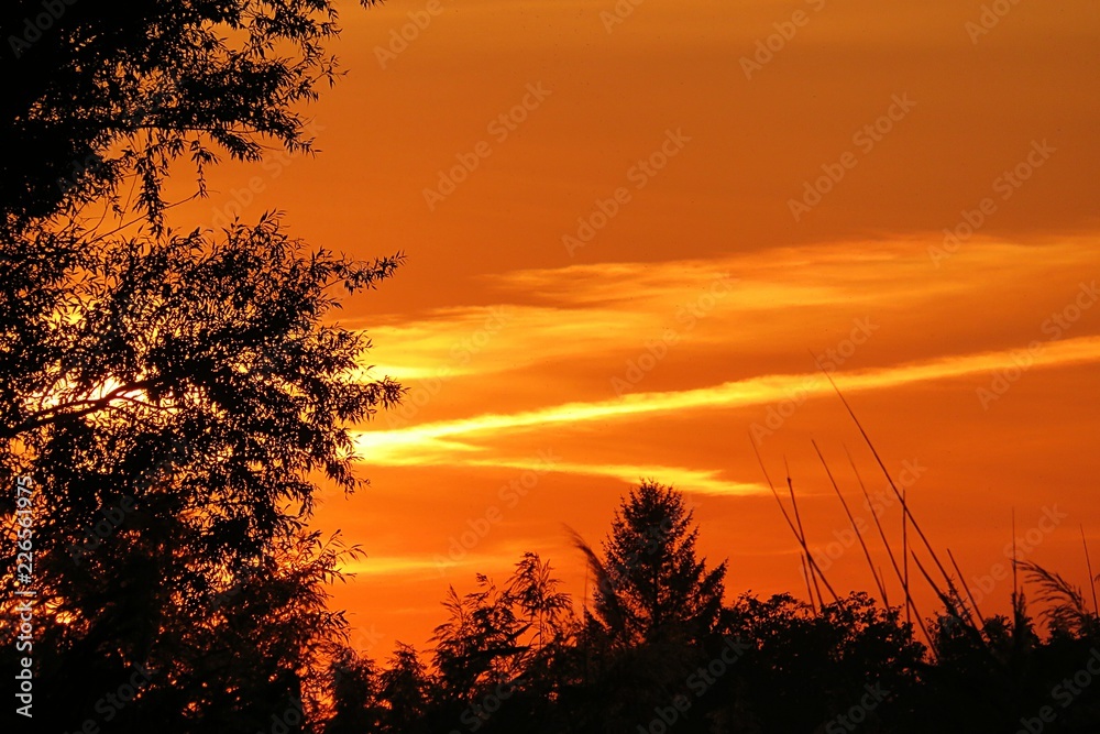 Beautiful orange fiery sunset background in nature