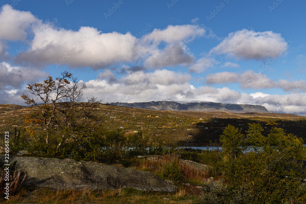 A typical landscape of the Hardangervidda in Norway. All pictures were taken in autumn.